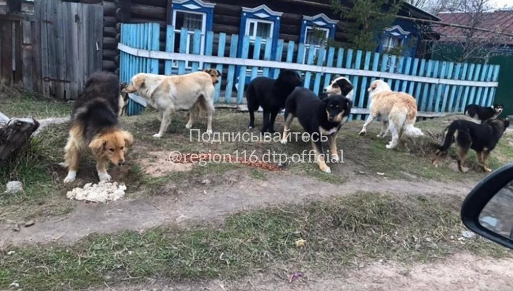 Люди требуют принять меры