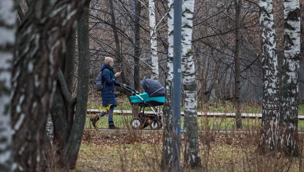 С 15 апреля по 30 мая в республике пройдет голосование за территории