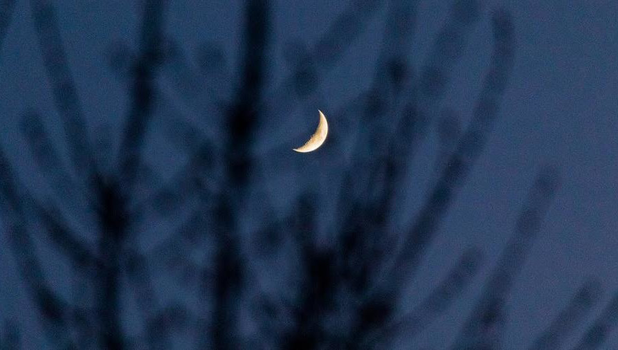 Главная задача миссии - отработать мягкую посадку в околополярной области и исследовать западный район южного полюса Луны.