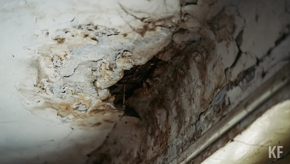 Председатель СК России поручил дать правовую оценку действиям лиц