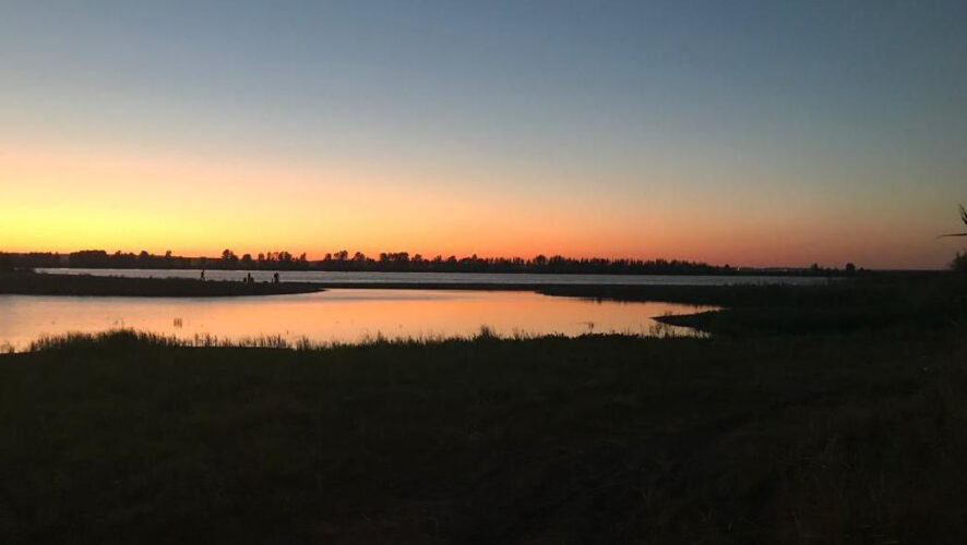 Прокуратура проводит проверку по данному факту.