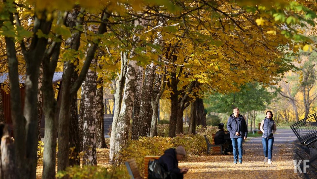 Температура воздуха достигнет 27 градусов.