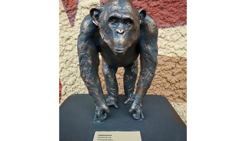 Объекты находятся в новой части зооботсада.