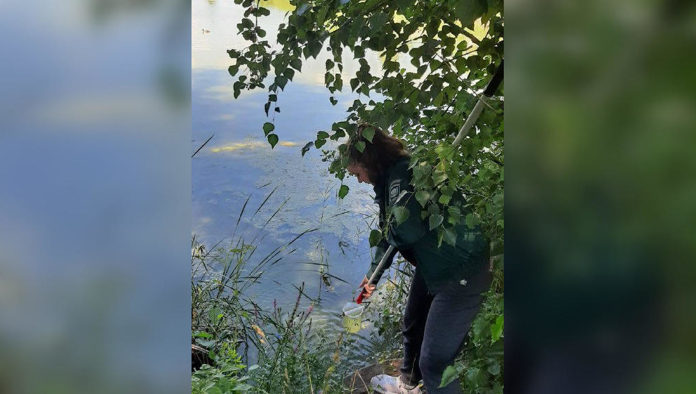 Результаты анализа природной воды будут готовы в течение 10 дней.