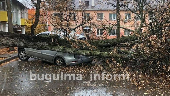 Люди не пострадали.