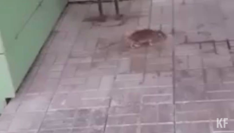 Она отметила