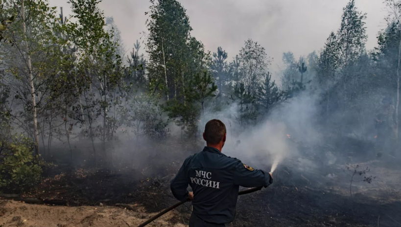 Почти все случаи связаны с безответственностью граждан.