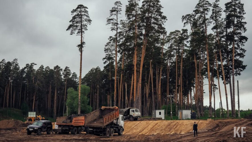 Озеленить планируют участок от&nbsp;Канаша до&nbsp;Шали.