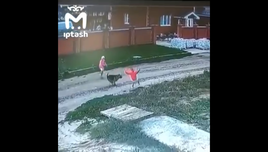 Прокуратура обратиться с иском в Высокогорский райсуд.