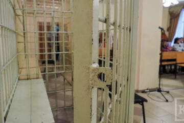 Суд Набережных Челнов приговорил к одному году и шести месяцам условно местного жителя