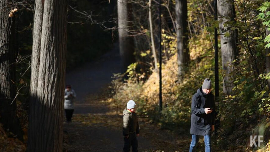 Первой по популярности выплатой служит субсидия на первого ребенка.
