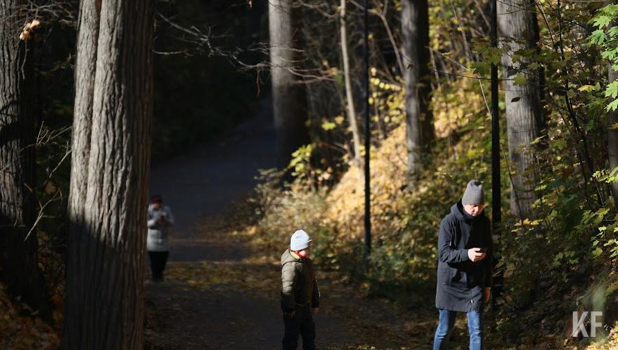 Первой по популярности выплатой служит субсидия на первого ребенка.