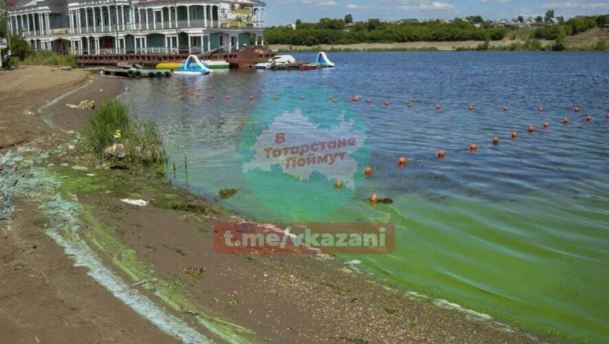 В мессенджерах уверяют