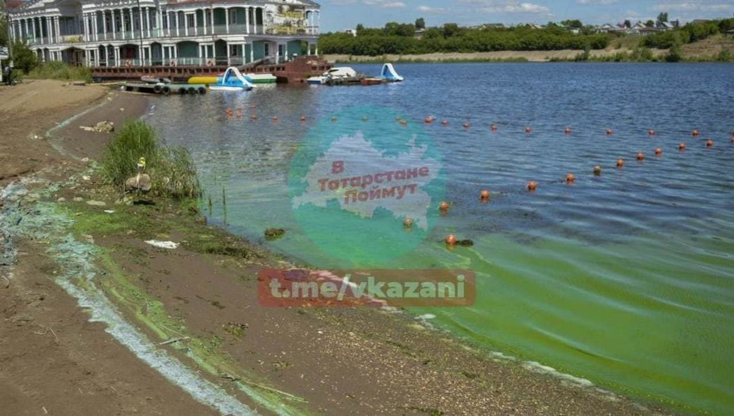 В мессенджерах уверяют