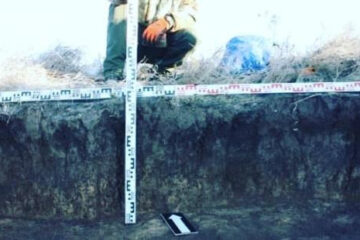 Они поставлены на государственную охрану.