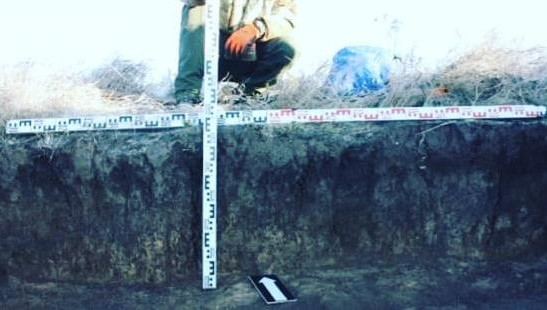 Они поставлены на государственную охрану.