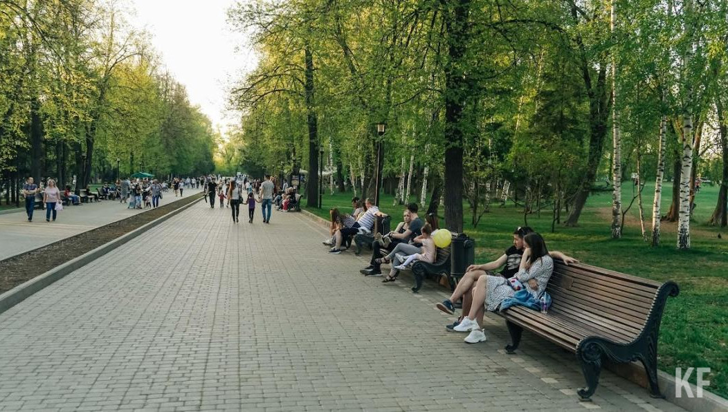 Площадь земельно участка составит более 6 квадратных метров.