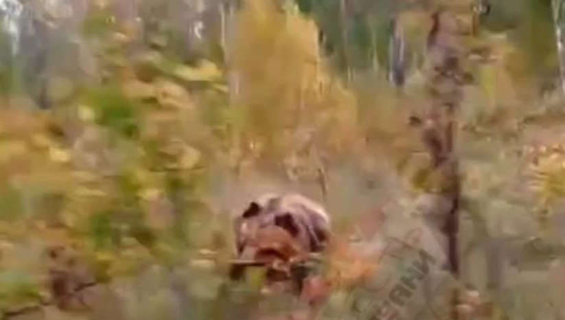 Они ехали на машине по дороге рядом с селом Тойгильдино.