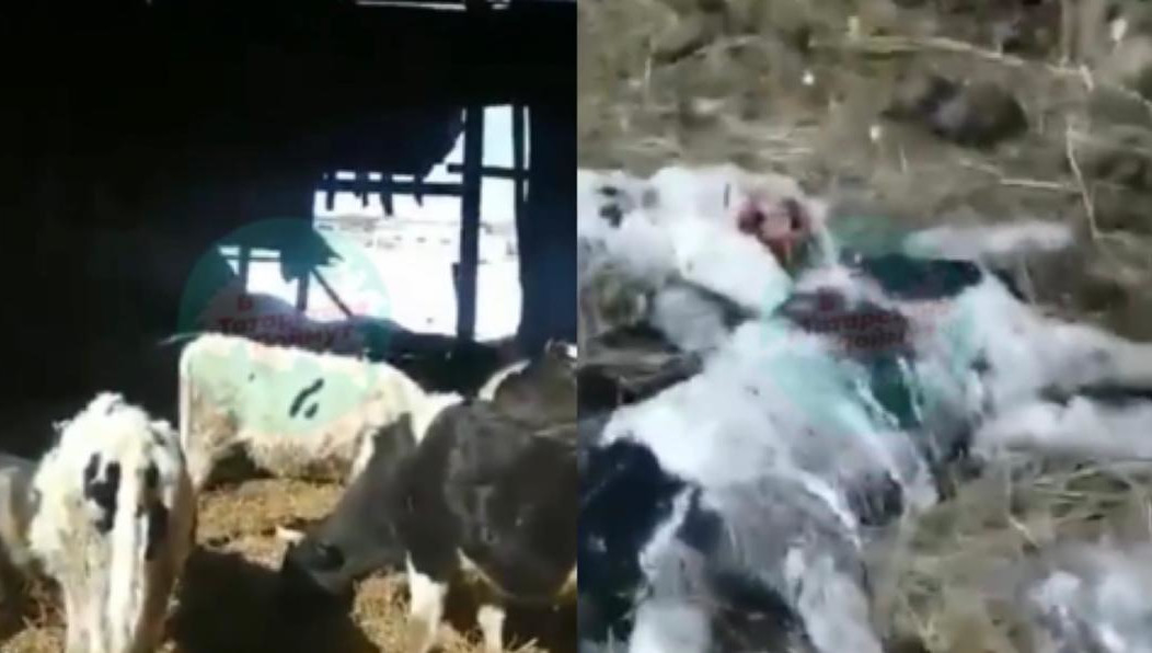 Прокуратура начала проверку.