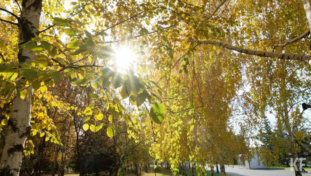 Ни одного случая заражения клещевым энцефалитом не выявлено.