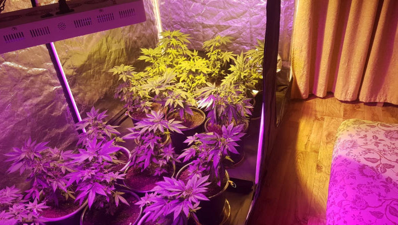 Мужчина находится под подпиской о невыезде.