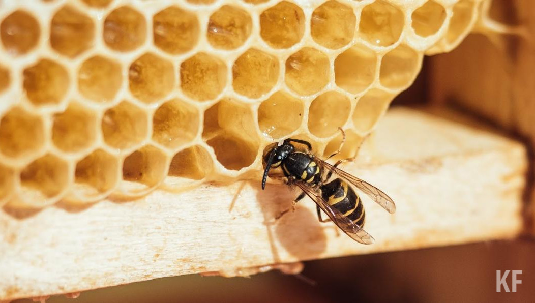 Постановление утвердило правительство Татарстана.