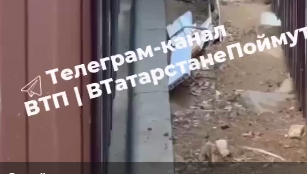 Видео с таким содержанием выложили в соцсетях.