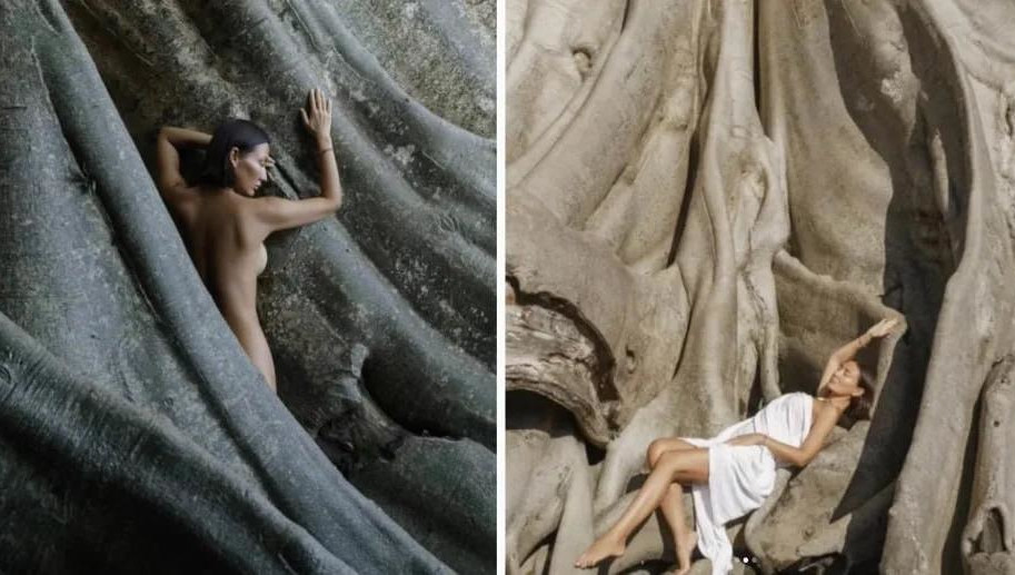 Местные жители считают дерево священным.