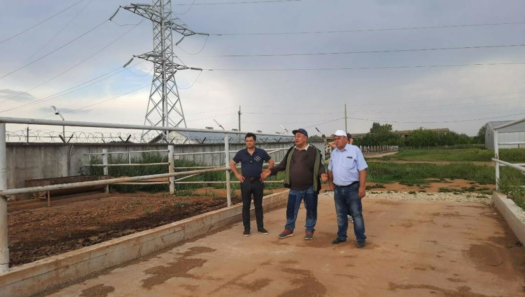 Комплекс будет рассчитан на 350 дойных коров.