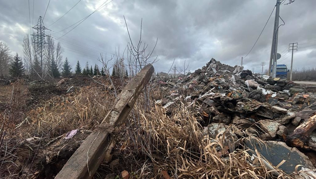 Экологи нашли захламленный на 18 тысячах кв.м участок.