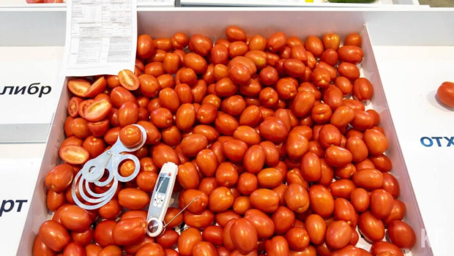 Свою продукцию на продажу представят 22 района республики.