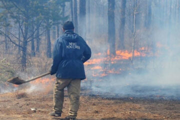 В этом сезоне в Татарстане лесных пожаров пока не допущено. Однако республиканские МЧС и Минлесхоз призывают не снижать бдительность. Пожароопасная обстановка сохраняется в регионе до конца лета.