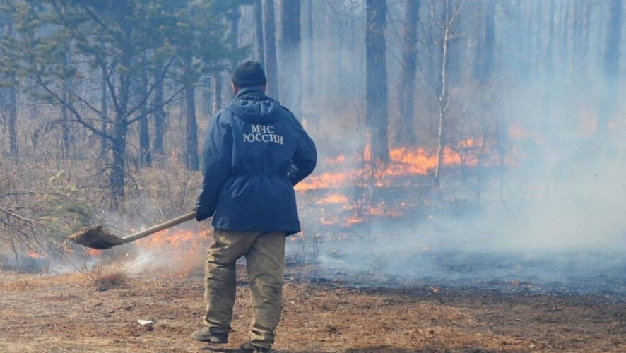В этом сезоне в Татарстане лесных пожаров пока не допущено. Однако республиканские МЧС и Минлесхоз призывают не снижать бдительность. Пожароопасная обстановка сохраняется в регионе до конца лета.
