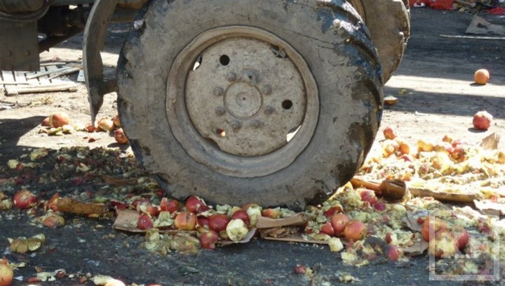 520 кг санкционных яблок уничтожили в казанском «Ашане»