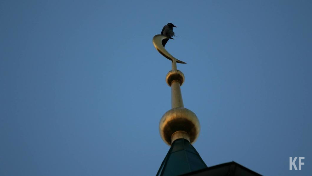 Она находится в Набережных Челнах и входит в Книгу рекордов Гиннеса России.