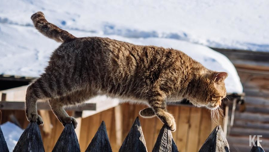 Мероприятие пройдет 2 апреля с 9:00 до 13:00.