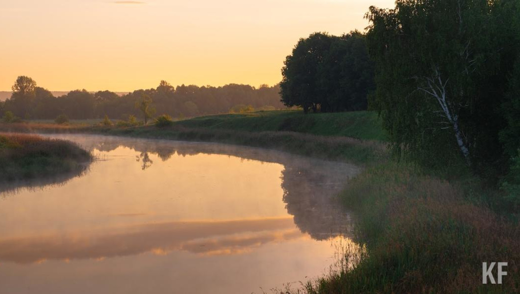 Ведутся работы по ликвидации вредных организмов.