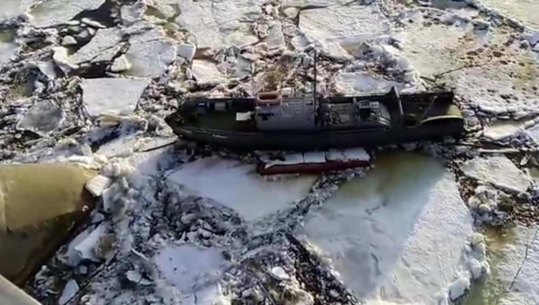 За его передвижением следят хозяин