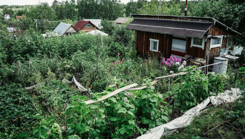 Из соли нужно сделать раствор.