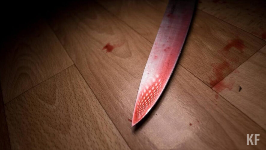 Зарезавшую сожителя женщину отправили в колонию.