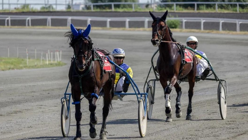 Всем известно