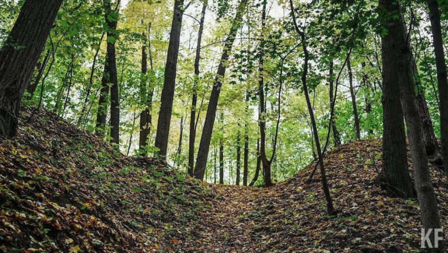 Прокуратура взяла это дело на контроль.