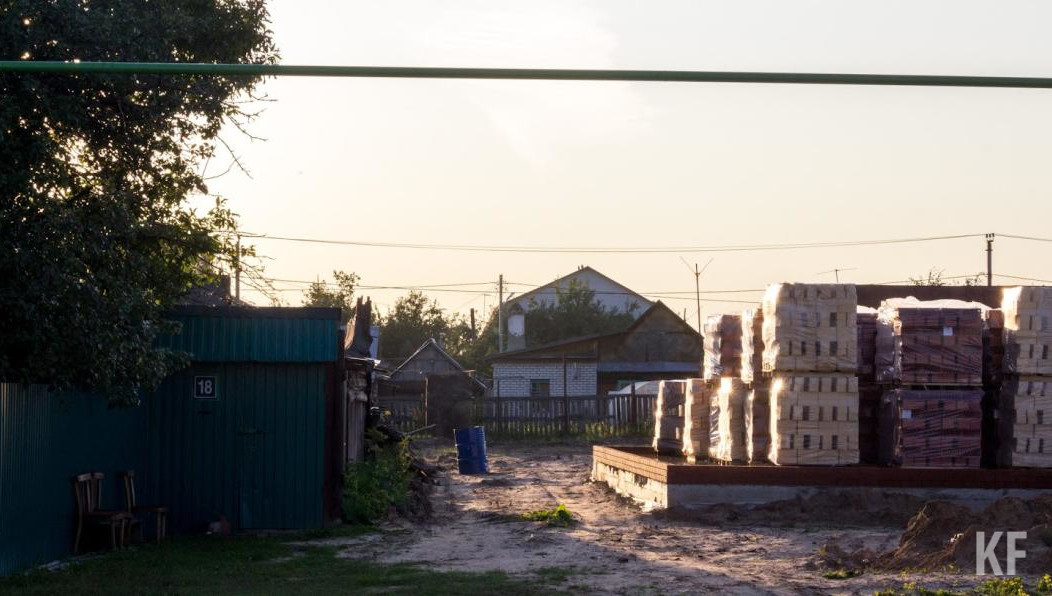 Животные хоть и с бирками в ушах