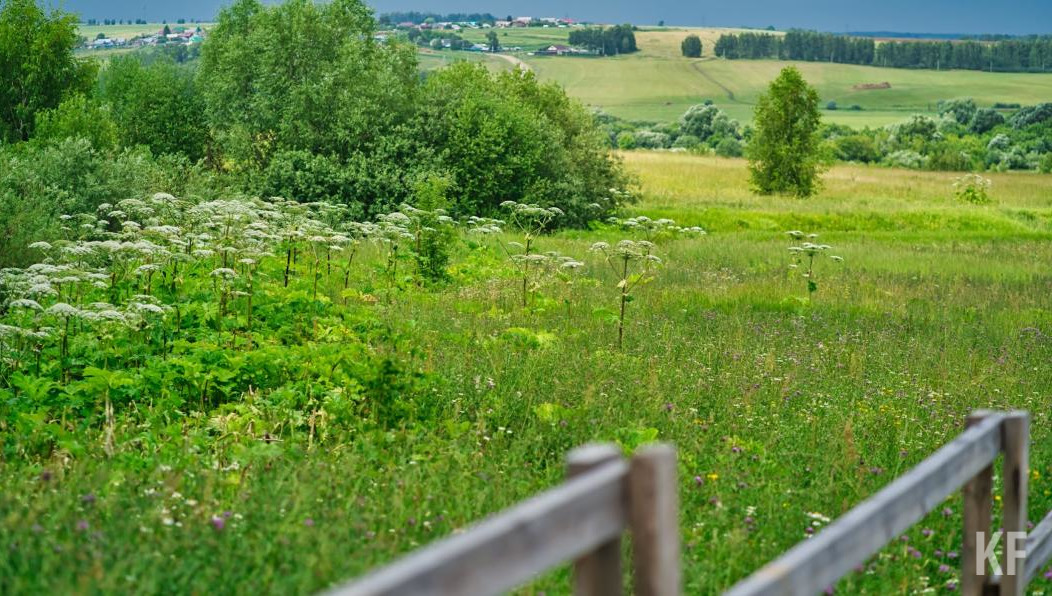 Речь идет о «Меллятамакском селище XIII» в Муслюмовском районе.