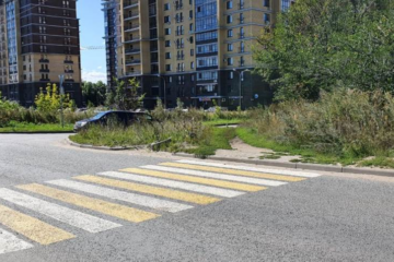 Активисты ОНФ при проверке школьных маршрутов выявил опасную дорогу в Константиновке.