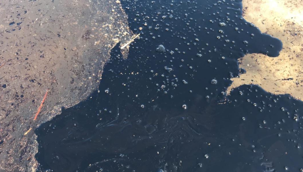 Общая площадь загрязненного участка составила 418 квадратных метров.