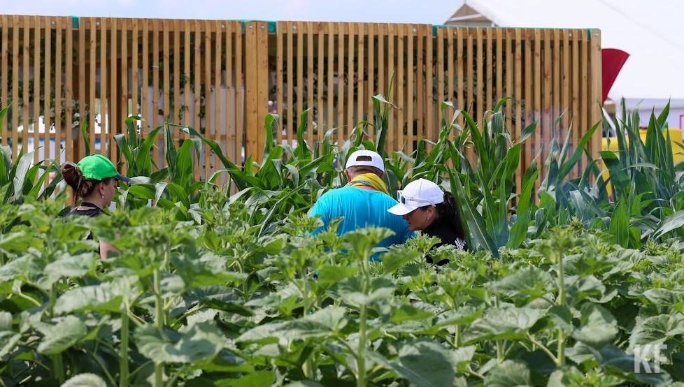 Решение принято в согласовании с Минэкономразвития