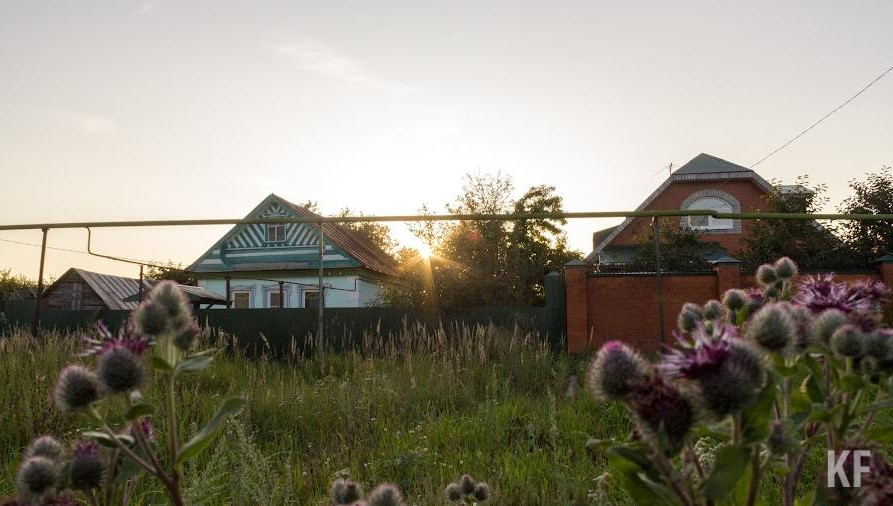 Среди них 23 процента - носители боррелиоза.