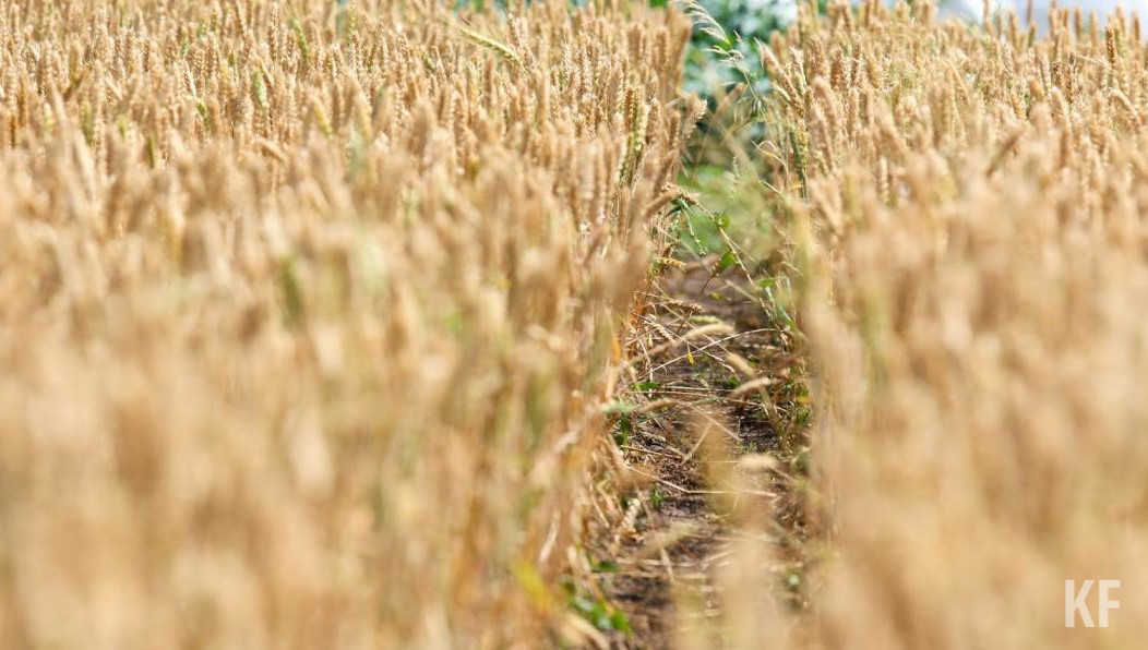 Весь мир почувствует на себе всю тяжесть этого кризиса.