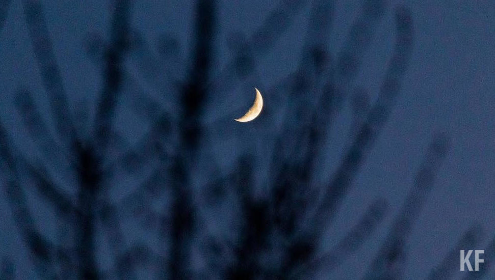 Самое подходящее время для того